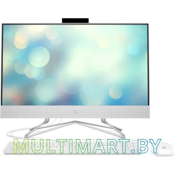 Моноблок HP 24-df0020ur (14P91EA)